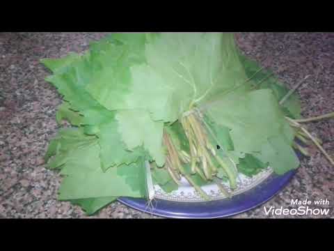 أحلى محشي ورق العنب من يوميات أولادي كل حياتي