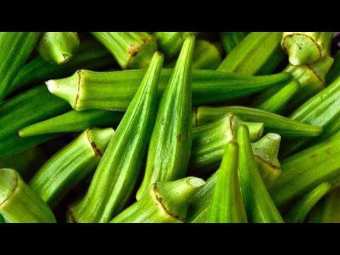 EBIKOLA AMAZZI AGASAMUKA Official Music Video 4K