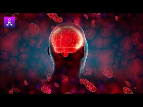 Improve Blood Circulation Frequency Head Brain Healing Music