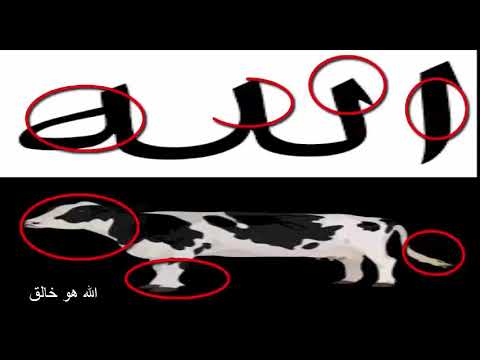 أقوى راد على ملحدين ونصرى ويهود في عالم 2017 ريتشارد عزوز Belkezize Tachfine