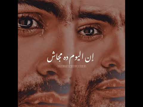 كده بردو تسبنى حلات واتس 2020 تامر حسنى