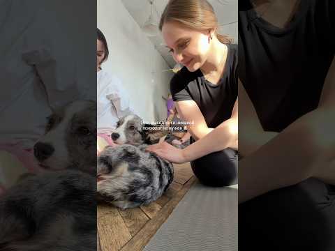 15 марта 2026 г