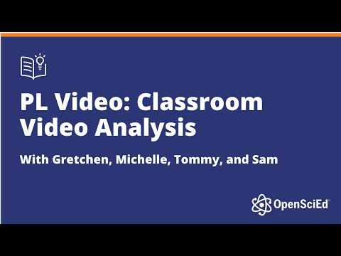 Facilitator Moves To Support Video Analysis