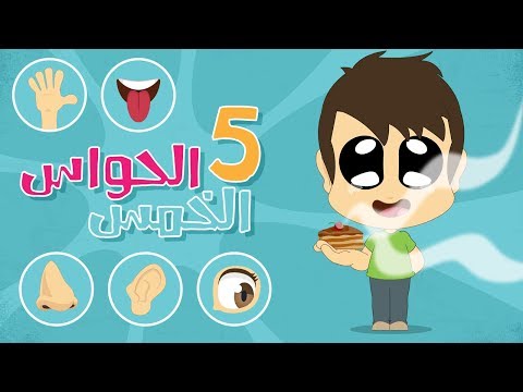الحواس الخمس للاطفال باللغة العربية تعلم الحواس الخمس مع زكريا