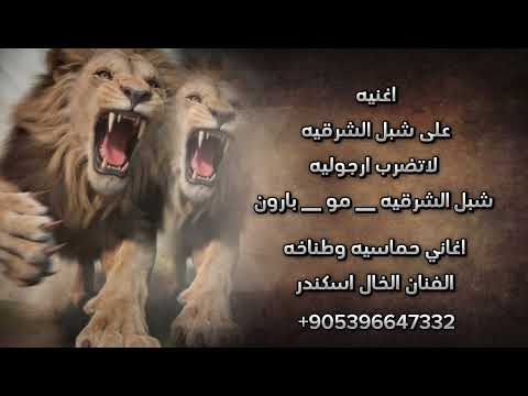 اغنيه شبل الشرقيه ومو وبارون اسود المعارك ورجال الفزعات اغاني حماسيه هيبه وقوه الفنان الخال اسكندر