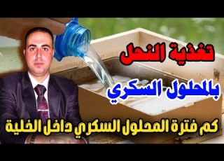  فترة صلاحيات المحلول السكري المقدم للنحل تغذية النحل الاستاذ محمد الجراح