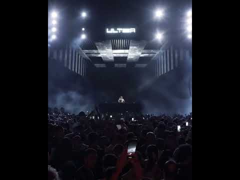 Argy In Egypt Shorts