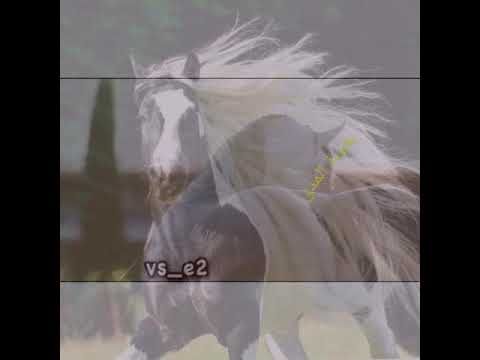 تمر بنا الأيام