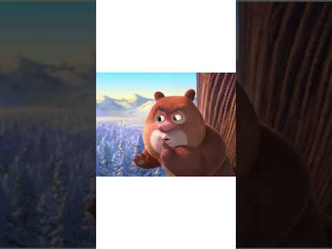 Snow Mets Boonie Bears A Mystical Winter