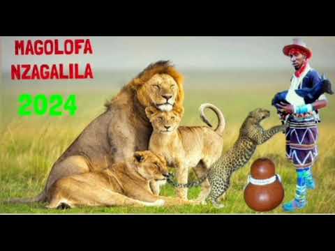 MAGOLOFA NZAGALILA UJUMBE WA MAYUNGA 2024 0752382579 MAGOLOFA NZAGALILA UJUMBE WA MAYUNGA 2024 0752382579