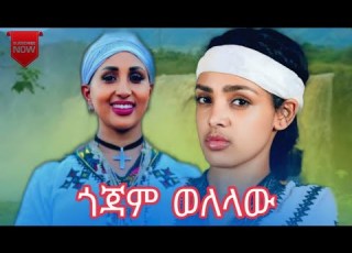 ጎጃም ወለላው ምርጥ ጎጃምኛ ሙዚቃ የጎጃም ባህላዊ ሙዚቃ Gojam Traditional Music Video 2025 Dejena Records