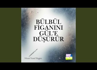  Bülbül Figanını Gül E Düşürür