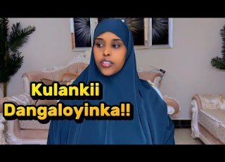 KULANKII DANGALOYINKA SawdaBillan