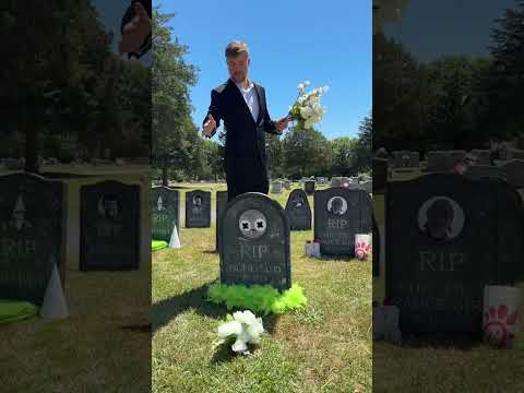 MR Beast Sad On His Parents Death Please Long Forsale Animalfarming Agriculture Mrbeast MR Beast Sad On His Parents Death Please Long Forsale Animalfarming Agriculture Mrbeast