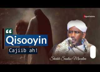 Qisas Cajiib Ah Sheekh Saalax Macalim