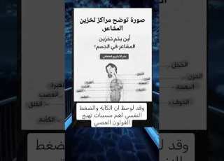 صورة توضح مراكز تخزين المشاعر لدى الإنسان