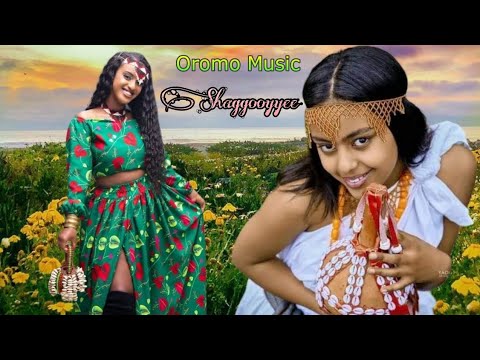 LALI TUBE Oromo Music Sirba Jaalalaa Shaggooyyee