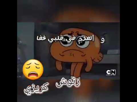 حالات واتس حلمي تحطم واختفي غامبول