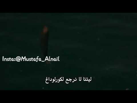 اليسا حب حياتي مقطع من مسلسل جسور والجميلة