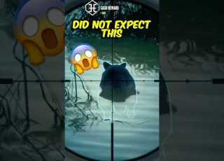  How Did I NOT Notice This Cotw Thehunter