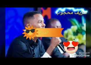 شريف محجوب