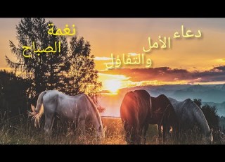  صباح الأمل دعاء يحمل الطاقة الإيجابية لينير يومك دعاء هادئ وجميل الصلاة الإبراهيمية