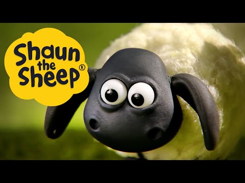 Timmy In A Tizzy Shaun The Sheep S1 Full Episodes