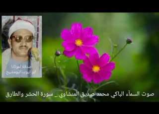 آيات من سورة الحشر والطارق فضيلة الشيخ المنشاوي