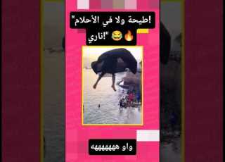  مواقف مضحكة يالطيف على الزهر ما غتصدقوش شنو وقع شاهد تابعنا ولا تفوت الجديد