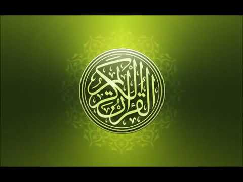 الشيخ مشاري العفاسي البقرة ترتيل سريع ورائع