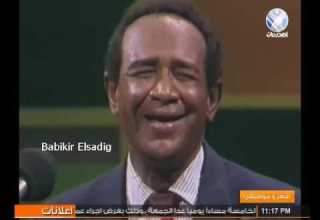 سيد خليفة ألمني حنان