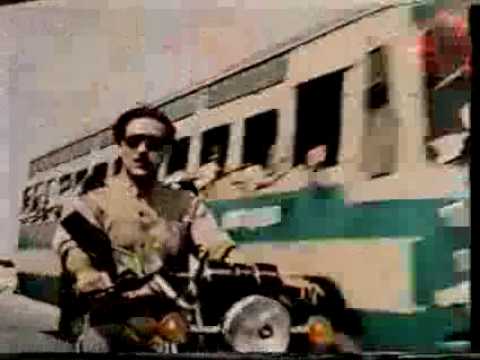 الكلب الوفي