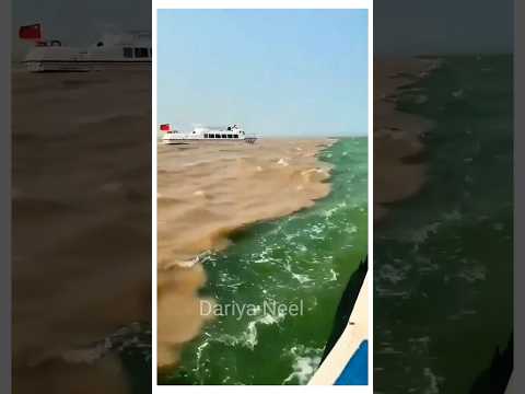 Dariya E Neel Viralvideo Shortvideo Shorts Short Viral Dariya Shortsfeed