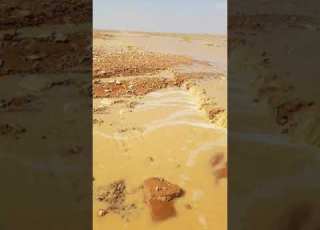 بطريف ياصويحبي بطريف سداح
