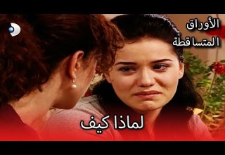 صدفة حلوة الأوراق المتساقطة الحلقة 109