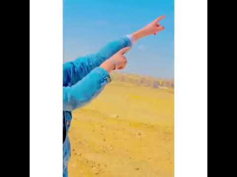 يا كوين ولابسة تاج انا لحضنك محتاج سامر المدنى جامدة اووى اوعاا يفوتكك