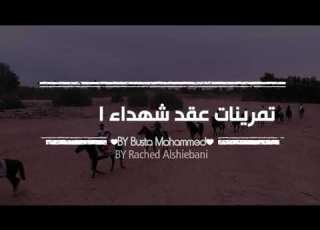  بر ومو لتمر ين ات عقد شهد اء الش اطي