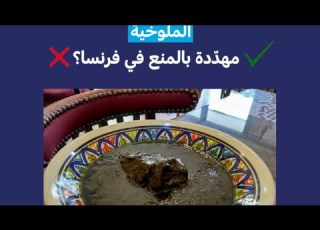 الملوخية مهددة بالمنع في فرنسا فرانس 24 FRANCE 24