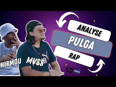 Nirmou Pulga Ft MVSS Analyse