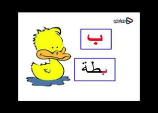 حروفي حلقة حرف ب قناة روضة 1430 هـ