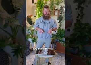  مزيج التربة الذي أستخدمه لجميع نباتاتي