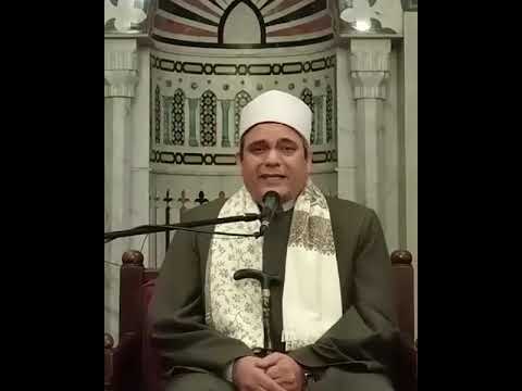 القصيدة المضرية د محمد وسام