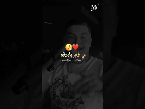 Cheb Amine Tigre راني طاير بالامانة نعلبوها لحنانة Rai