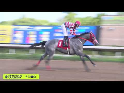 CARRERA 2 6 DICIEMBRE 2025 ROCK DIAMOND V