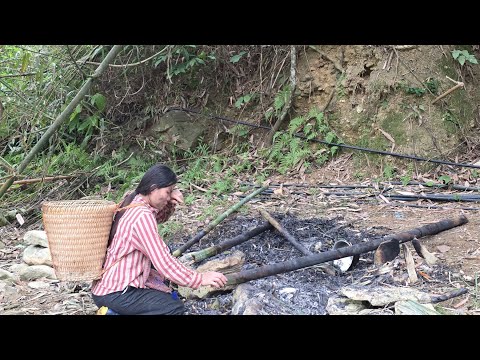 Tragedy Strikes Sung Thu Deeply Shocked As Her House Burns Down Leaving Nothing Behind
