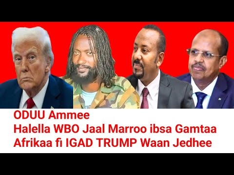 ODUU Ammee 27 12 2025 Moha Oromo
