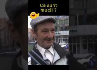  Ce Sunt Mucii Razi Cu Lacrimi Fazeamuzante Umor Amuzante