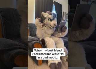  I Love Him Though ItsJerb Furry Fursuit