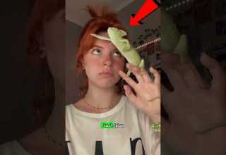 تحب هذه الفتاة حربائها كتيرا Shorts