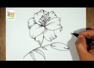  Comment Dessiner Une Fleur De Lys Facile